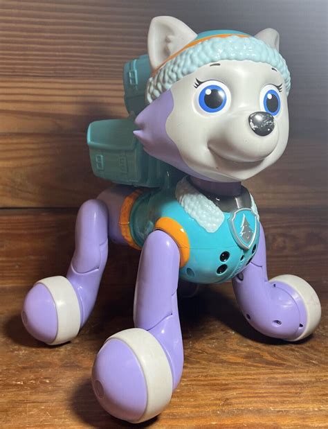 Paw Patrol Zoomer Everest Interactive Pup With Missions