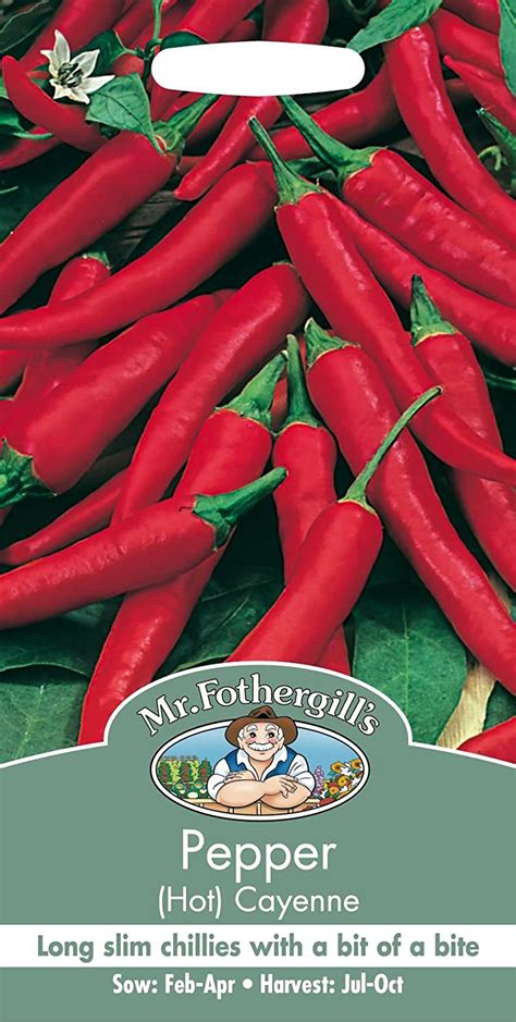 Mr Fothergills Pictorial Packet Vegetable Pepper Hot Cayenne 60