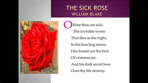 The Sick Rose Blake Thesickrose Secretlove Bed Worm Disease