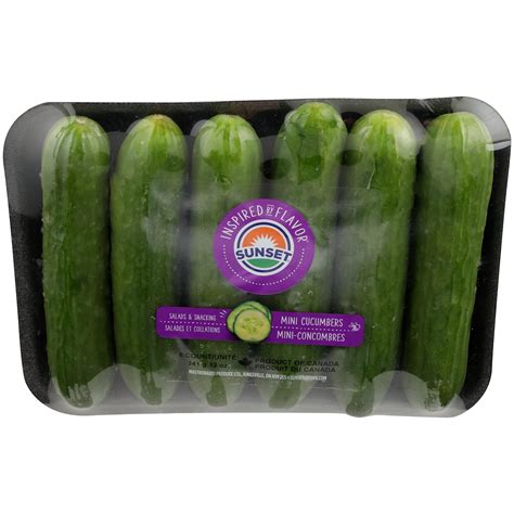 Sunset Cucumber Mini 12 Ounce Grocery And Gourmet Food