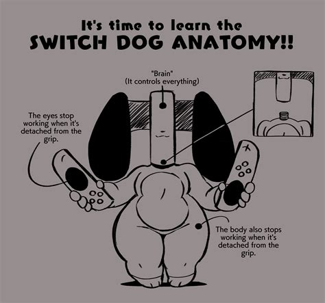 Switch Dog Anatomy By Joaoppereiraus On Deviantart