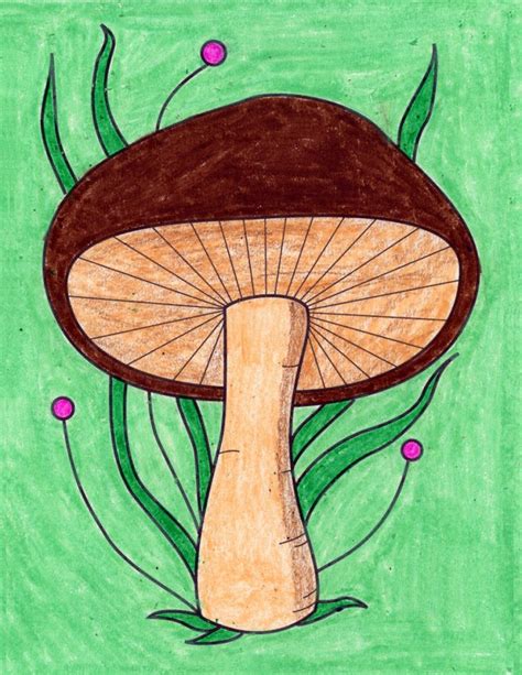 How To Draw Mushroom Easy Step By Step Drawing Tutori