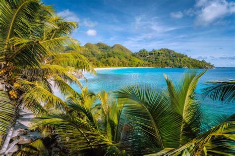 Beautiful Tropical Exotic Anse Intendance Beach On Mahe Island Seychelles Lush Foliage Of
