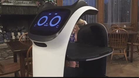Robot Servers Help Staff At Local Columbia Restaurant