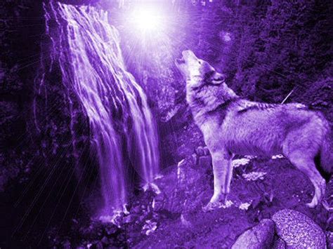 Purple Wolf By Khalla On Deviantart