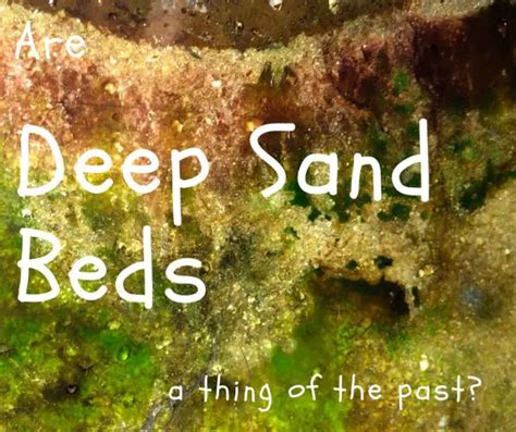 Deep Sand Beds Facts Advantages Disadvantages And Info