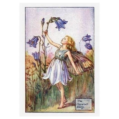 Harebell Flower Fairy Flower Fairy Prints Vintage Fairy Prints By