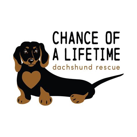 Chance Of A Lifetime Dachshund Rescue | Stoughton MA