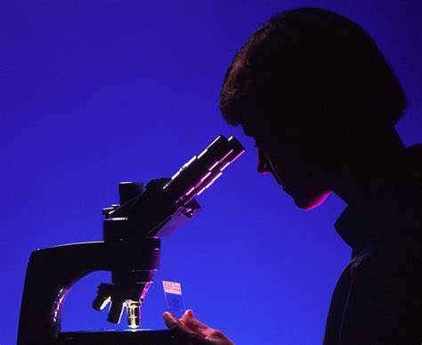 Директор диета могилев