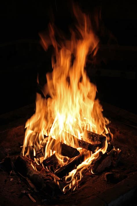 Free Campfire Stock Photo