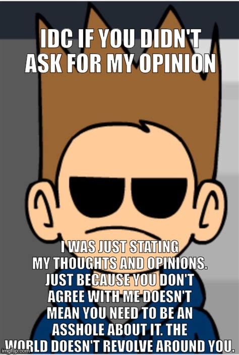 Idc If You Didnt Ask For My Opinion Imgflip
