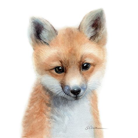 Baby Fox Art T Watercolor Fox Art Print Baby Fox Prints Etsy