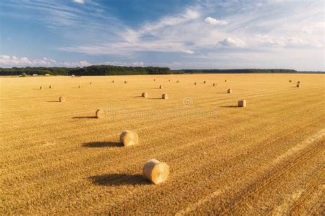 Aerial View Of Hay Bales In Summer Top View Of Hay Stacks Stock Photo