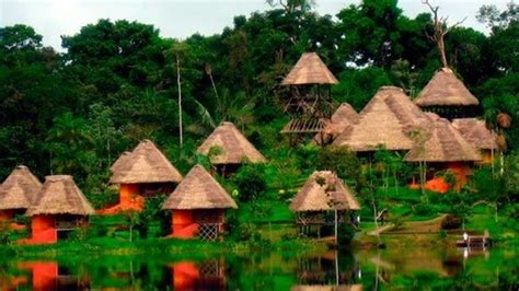 Spend The Night In An Amazon Rainforest Eco Lodge 79937