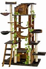 Cool Cat Climbing Towers Images