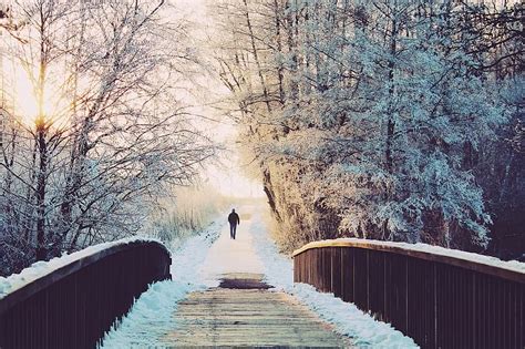 Man Bridge Lonely Walk Wintry Winter Landscape Snow Snowy