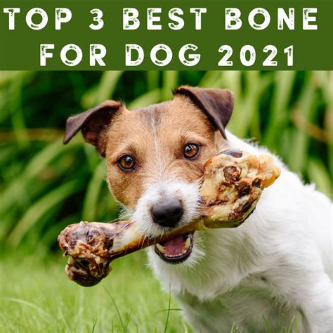 What Is The Longest Lasting Dog Bone