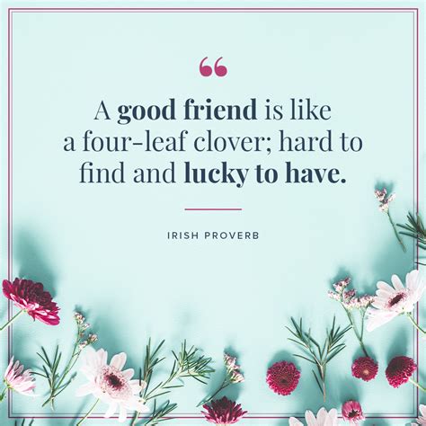 The Ultimate Compilation Of Friendship Quote Images Over Stunning Images In Full K