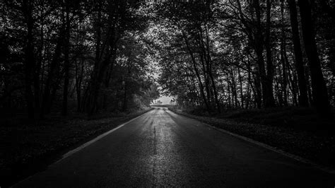 Download Wallpaper 1366x768 Road Trees Bw Dark Forest Tablet