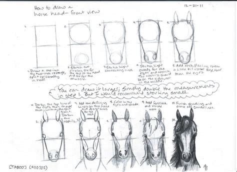 How to draw a horse head? How to Draw a Horse Head--Front View by ~a-n-0-n-y-m-o-u-s ...