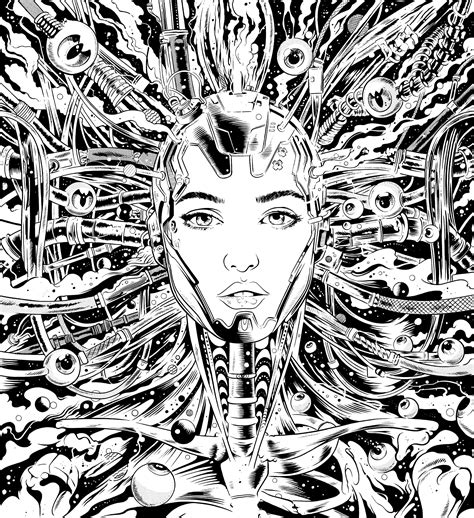 Free Kittens (@FreeKittens2) / Twitter