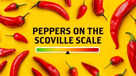 Peppers On The Scoville Scale Youtube