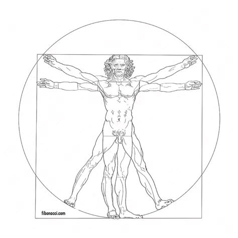 Mar 12, 2015 · the fibonacci sequence in artistic composition posted on march 12, 2015 by mark mitchell fibonacci was an italian mathematician in the late 11 th and early 12 th century, credited with bringing the arabic numeral system to europe and introducing the use of the number zero and the decimal place. φ Fibonacci in Art & Architecture ★ Fibonacci