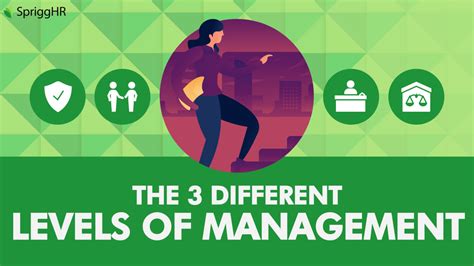 The 3 Different Levels Of Management • Sprigghr