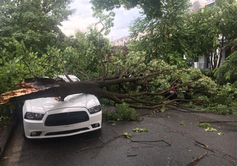 Severe Thunderstorms Knock Over Trees Flood Roads In Dc Area Nbc4