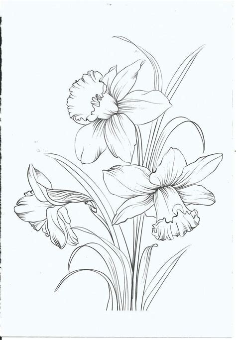 Nachdem sie diese blumen zeichnen. Fátima Gallardo adlı kullanıcının Dibuixos panosundaki Pin ...