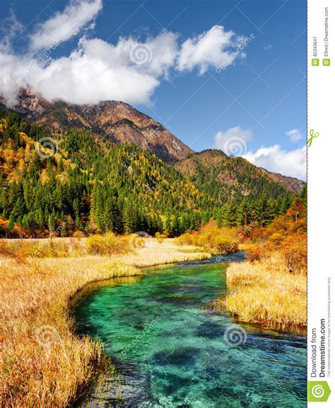 Beautiful River With Azure Crystal Clear Water Among Fall Fields Stock