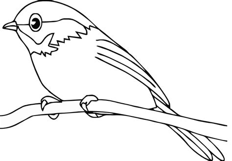 The article features different types of birds with their distinctive characteristics. Blue Bird Cartoon - Coloring Home