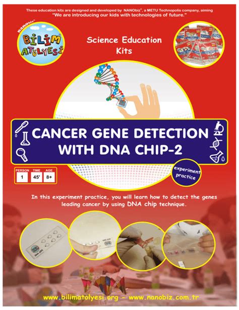 cancer gene detection with dna chip 2