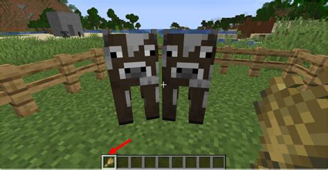 How To Breed A Cow In Minecraft Linux Consultant