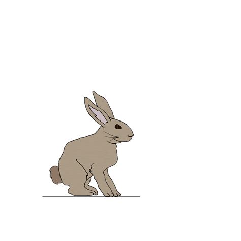 Rabbit  On Er By Nikosar