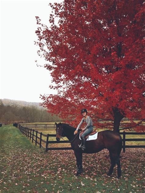 Morganecarroll Fall Days With My Favorite Pon Horse Photography