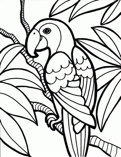 Find more jungle animals coloring page preschool pictures from our search. preschool Free Printable Parrot Coloring Pages For Kids ...