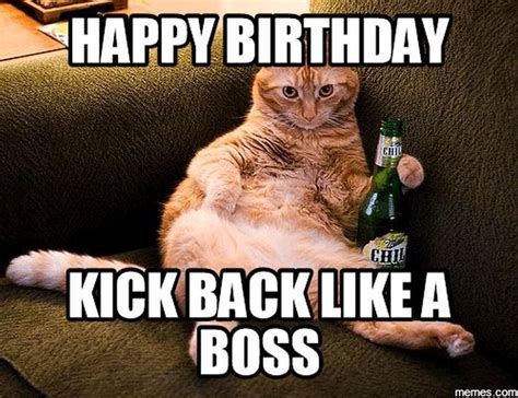 Best Cat Birthday Memes Funny Memes