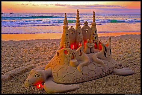 Byron Bay Beach Turtle Snow Sculptures Sculpture Art Gorgeous Sunset