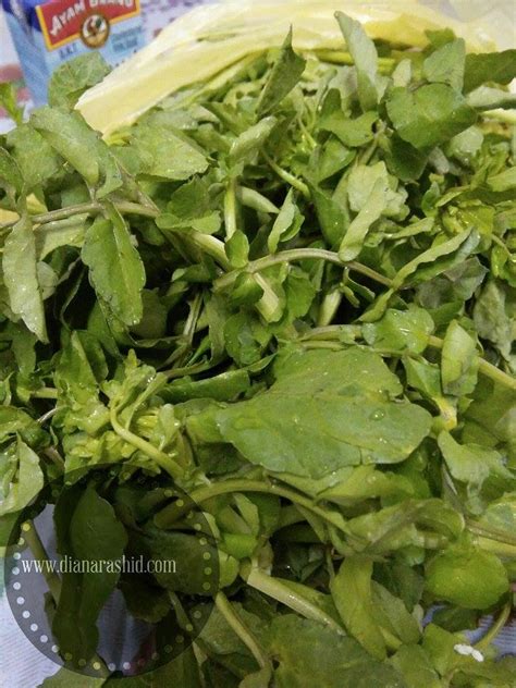 Sudah tentu ia sangat baik untuk mereka yang sedang dalam program diet. KHASIAT BUAH-BUAHAN DAN SAYUR-SAYURAN MENGIKUT WARNA ...