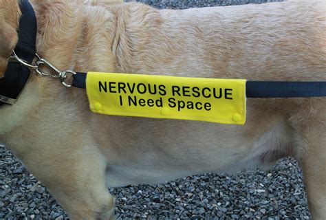 Dog Leash Sleeve NERVOUS RESCUE I Need Space Leash wrap | Etsy