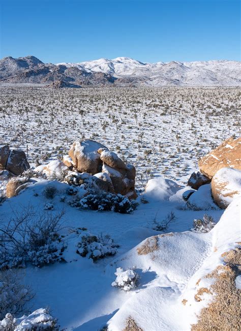Snow In Joshua Tree National Park Lawrence Pallant Photography