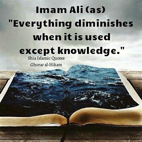 Pin By Lita Natanagara On Imam Ali As Ali Quotes Hadith Quotes