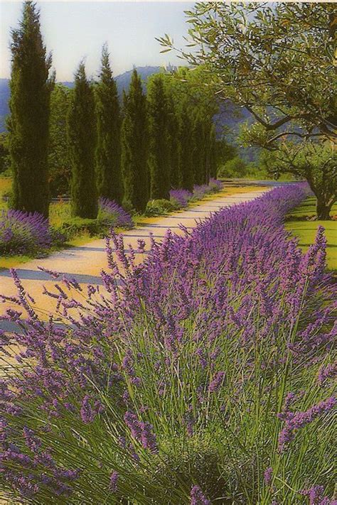 The 18th century hotel building is surrounded by 15 hectares of vineyard and offers antique la bastide de marie has a bar and restaurant, outdoor swimming pool and a spa offering massage and body treatments. La Bastide de Marie in Menerbes in Provence (France ...