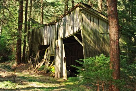 Free Images Tree Nature Wilderness Wood Trail Hut Shack Green