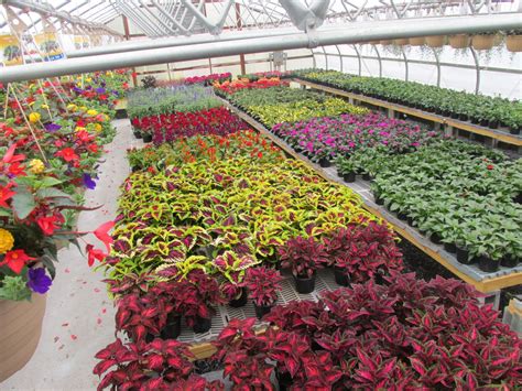 Nolts Garden Center Greenhouse Nursery And Landscape Supply