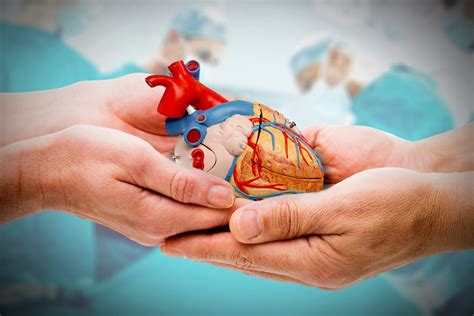 What is the nhs organ donor register? Organ Donation Facts: How Do Donated Organs Age?