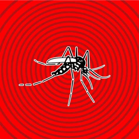 Dengue Illustrations Royalty Free Vector Graphics And Clip Art Istock