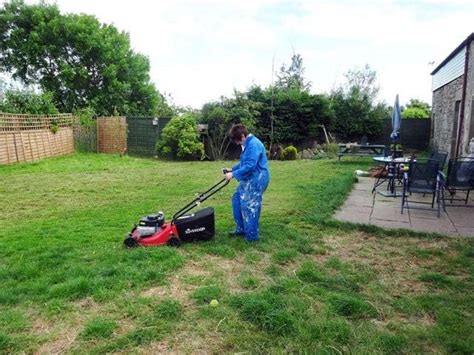 Will Grass Grow Back After Being Burned By Fertilizer - will grass grow back if burned by fertilizer