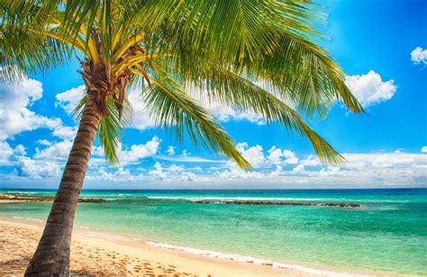 Paradise Sea Summer Ocean Beach Tropical Palms Sunshine Wallpaper